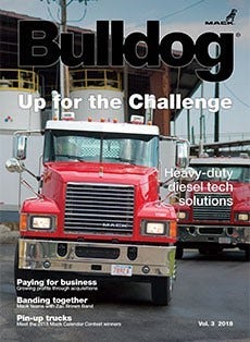 Picture 460180501, Picture, Picture