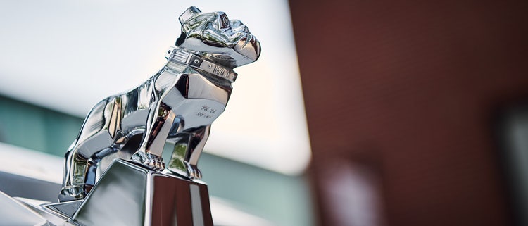 A close-up of a silver dog statue Description automatically generated with low confidence