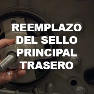 Reemplazo del Sello Principal Trasero