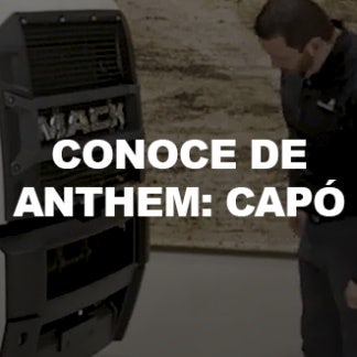 Conoce de Anthem: Capó