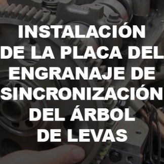 Instalación de la placa del engranaje de sincronización del árbol de levas