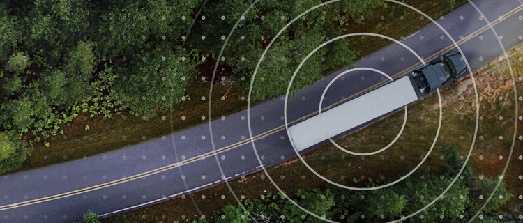 A road with trees around it Description automatically generated